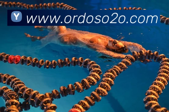 开云登陆入口 - 开云online(中国)品牌故事