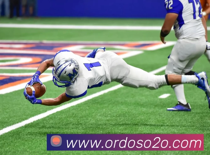 多媒体互动体验